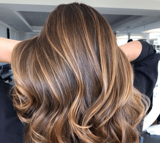 Highlights & Lowlights